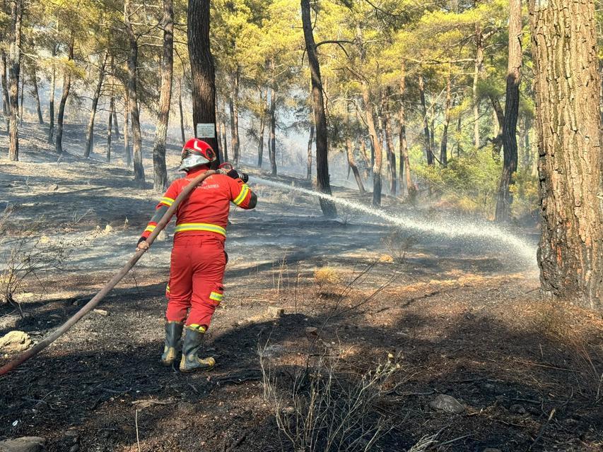 Ortaca'da orman yangını