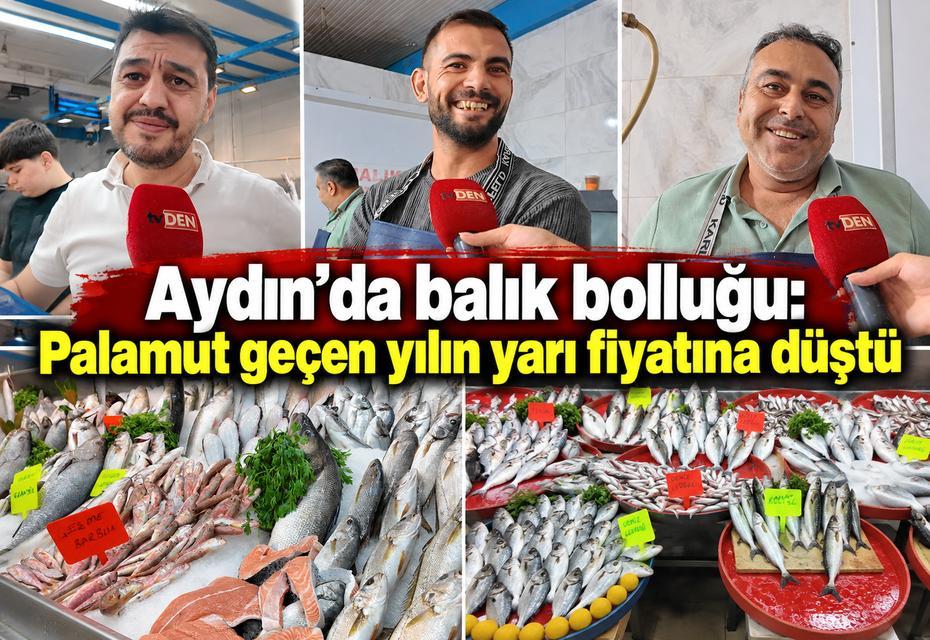 Aydın’da balık bolluğu: Palamut geçen yılın yarı fiyatına düştü