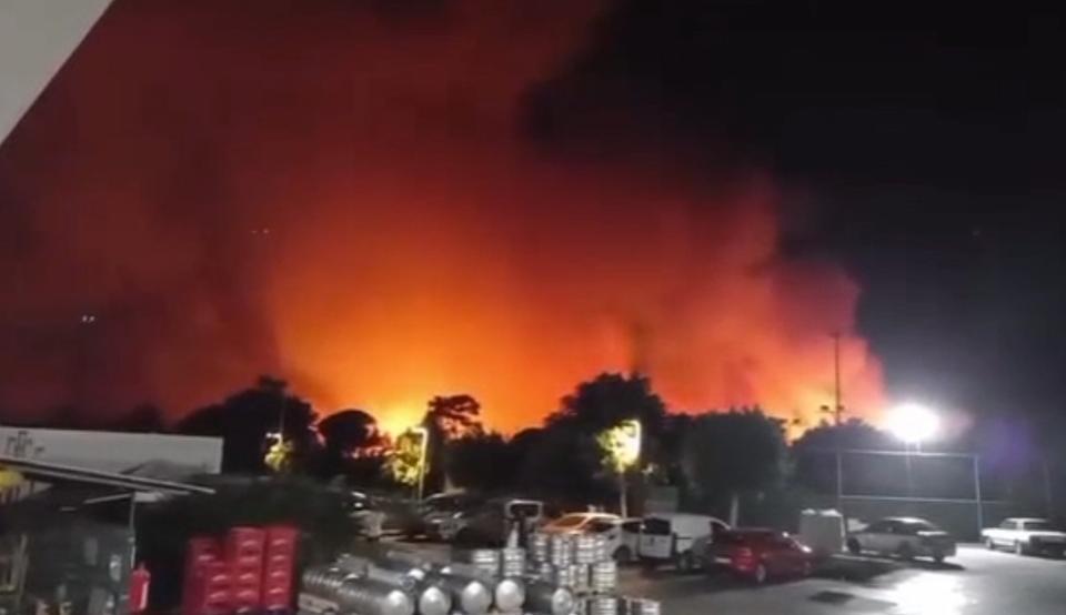 Ormanlık alanda yangın