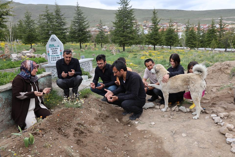 'GARİP'İN VEFASI: ÖLEN SAHİBİNİN MEZARINDAN AYRILMIYOR