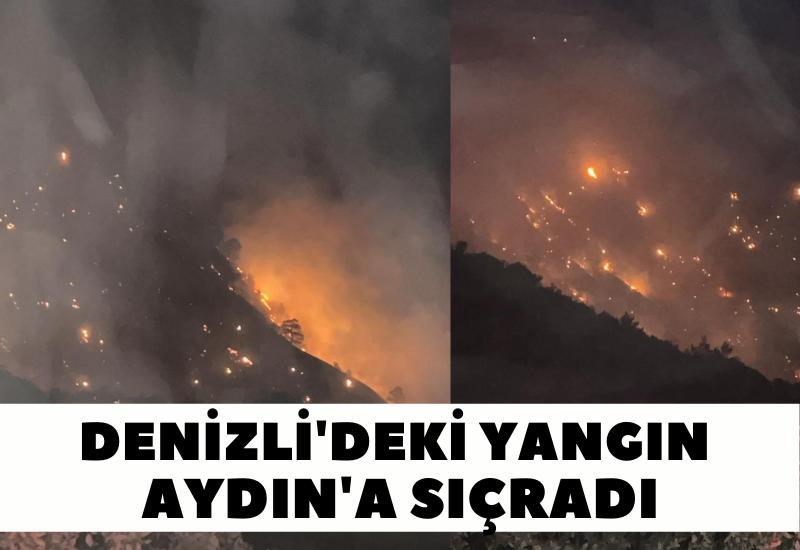 Denizli'deki yangın Aydın'a sıçradı