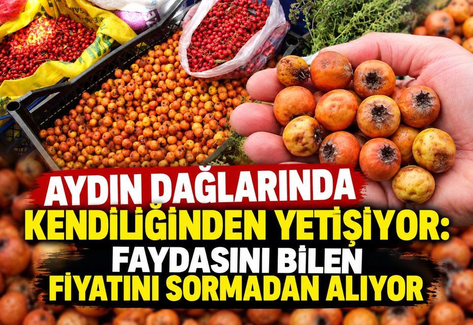 Faydasını bilen fiyatını sormadan alıyor
