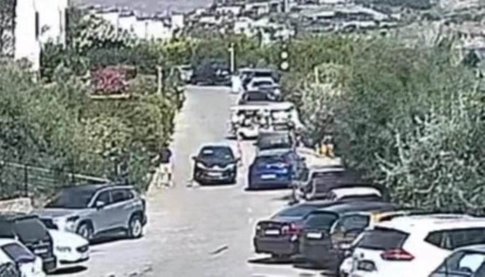 12 yıl baktığı köpeğini kaybetti! Mahkemeden çıkan karar şaşırttı