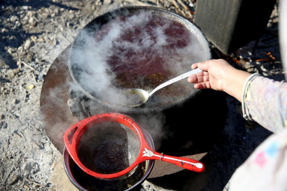 Dağlardan toplanan defne meyveleri geleneksel yöntemle yağa dönüştürülüyor