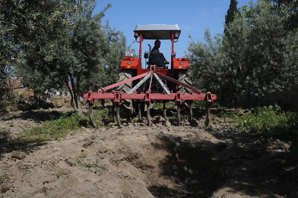 BAHÇESİNİ ÇAPALAYAN ÇİFTÇİNİN PULLUĞUNA TAKILAN KÜPTEN BİZANS DÖNEMİ SİKKELERİ ÇIKTI ÇİFTÇİ İSMET KAYA: "BİZ ZEYTİN HASADININ İYİ OLMASINI BEKLERKEN TOPRAKTAN ALTIN SİKKE HASAT ETTİK" KAYA: "BÜTÜN AKRABALARIMIZ BİZLERİ ARADI, BÜTÜN AKŞAM TELEFONLARIMIZ SUSMADI"