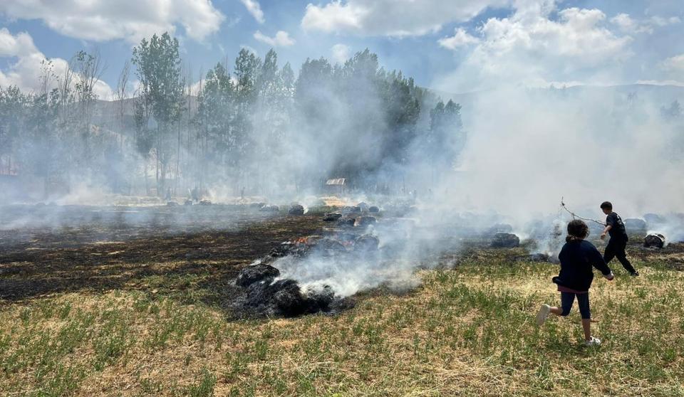 HAKKARİ'DE YAKLAŞIK BİN 500 BAĞ OT KÜL OLDU