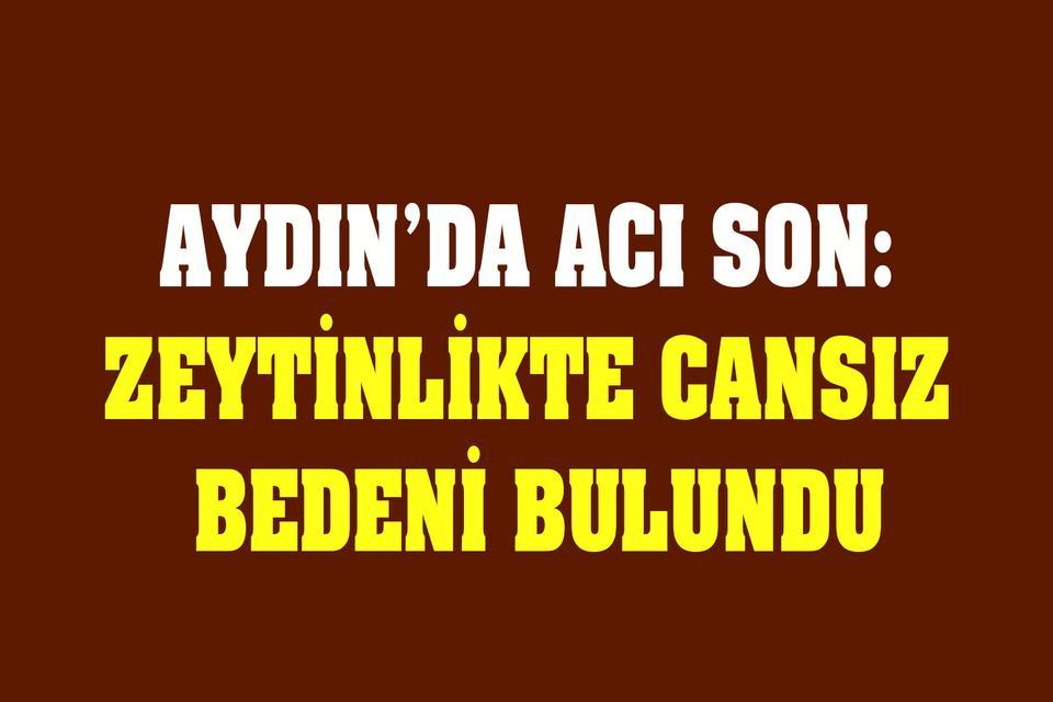 Aydın’da acı son: Zeytinlikte cansız bedeni bulundu