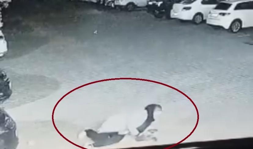 DİYARBAKIR'DA KÖPEK SALDIRISINI UĞRAYAN KADIN VE ÇOCUK CANINI ZOR KURTARDI KÖPEK SALDIRISI GÜVENLİK KAMERASINA YANSIDI: KADIN, KÖPEK SALDIRISINDAN KURTULMAK İÇİN ADETA GÜREŞTİ