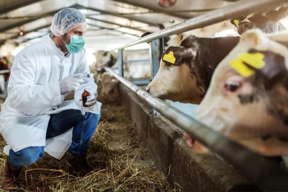 Çine’de 29 mahallede karantina kalktı