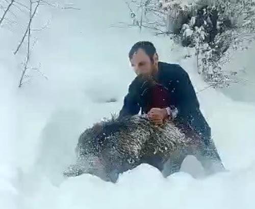 KARLI YOLDA DOMUZU ELLERİYLE YAKALAYAN ADAM KONUŞTU: "BİR ANI OLSUN DİYE YAKALADIM, KİMSEYE TAVSİYE ETMEM"