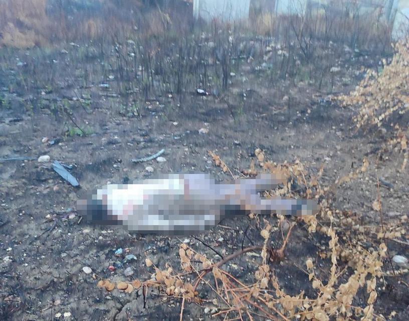 Araç otoyolda, sürücüsü köprünün altında ölü bulundu