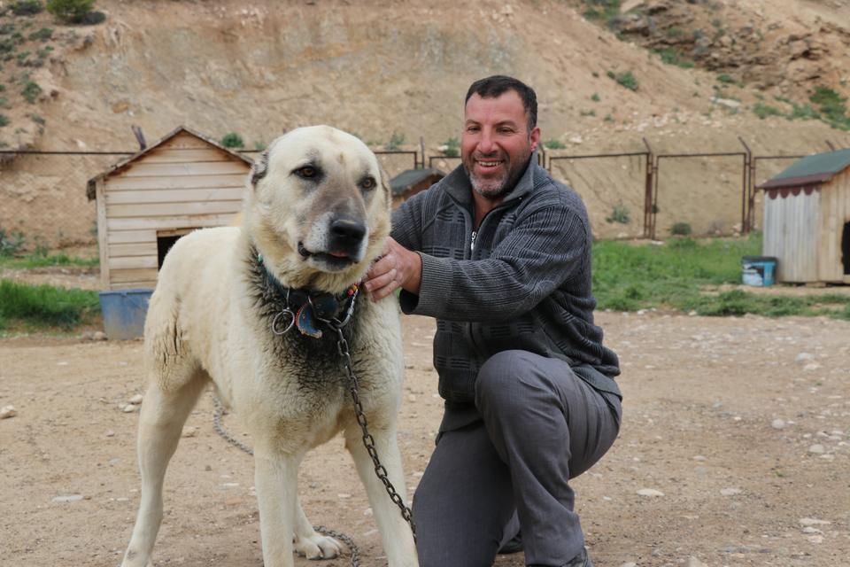 DEĞİŞKEN HAVALAR ANADOLU ASLANLARINI DEPRESYONA SOKTU