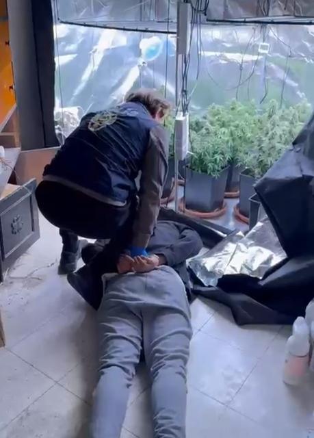 EVİNİ UYUŞTURUCU SERASINA ÇEVİRDİ ADANA'DA POLİS BİR EVE YAPTIĞI BASKINDA ODALARA UYUŞTURUCU SERASI KURULDUĞUNU TESPİT EDİP ŞÜPHELİYİ YAKALADI EVDE YAPILAN ARAMALARDA 74 KÖK HİNT KENEVİRİ ELE GEÇİRİLDİ