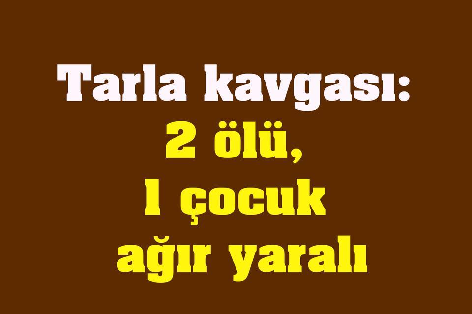 Tarla kavgası: 2 ölü, 1 çocuk ağır yaralı