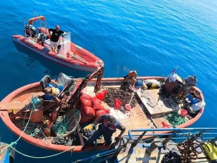 Aydın’da su ürünlerine sıkı takip: 1 yılda 5 bin 614 denetim