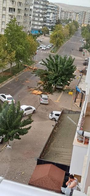 GAZİANTEP'TE ŞİDDETLİ RÜZGAR ÇATILARI UÇURDU, AĞAÇLARI KÖKÜNDEN SÖKTÜ