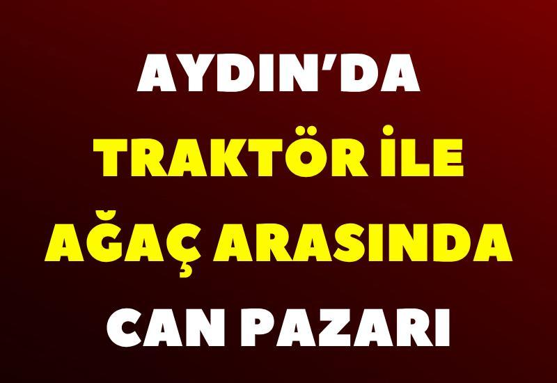 Aydın’da traktör ile ağaç arasında can pazarı