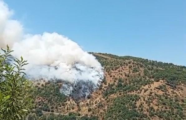 Aydın'da orman yangını! Ekipler alevlerle mücadele ediyor