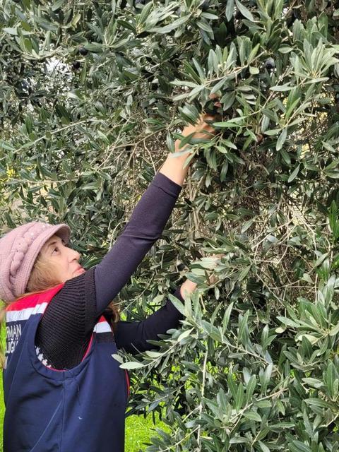 Buharkent’te sağlıklı gıda için pestisit denetimi