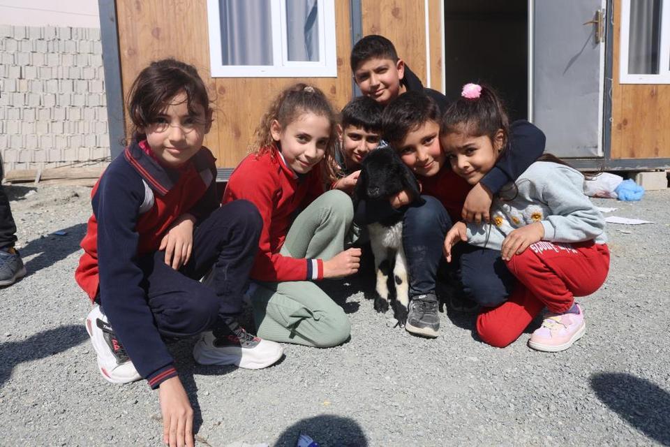 Annesi doğumda telef olan 'Boncuk' kuzu, elbisesi ve biberonuyla ilgi odağı oldu