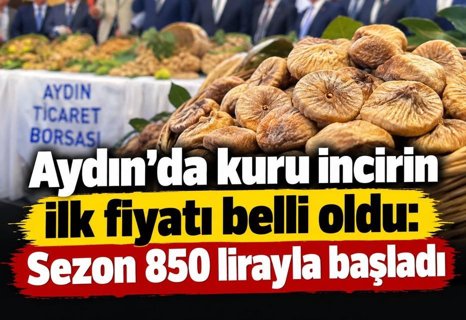 Aydın’da kuru incirin ilk fiyatı belli oldu: Sezon 850 lirayla başladı