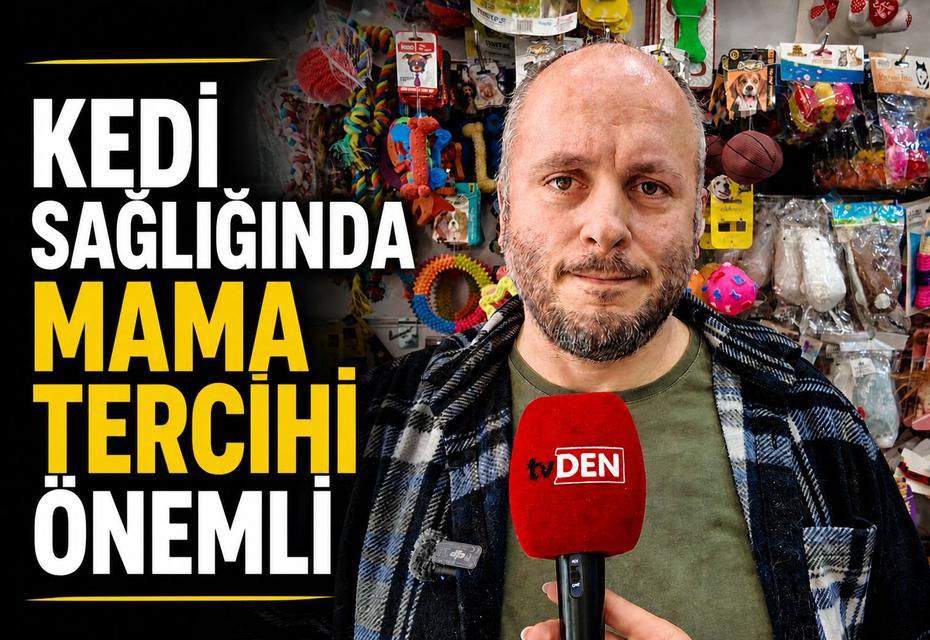 Kedi sağlığında mama tercihi önemli