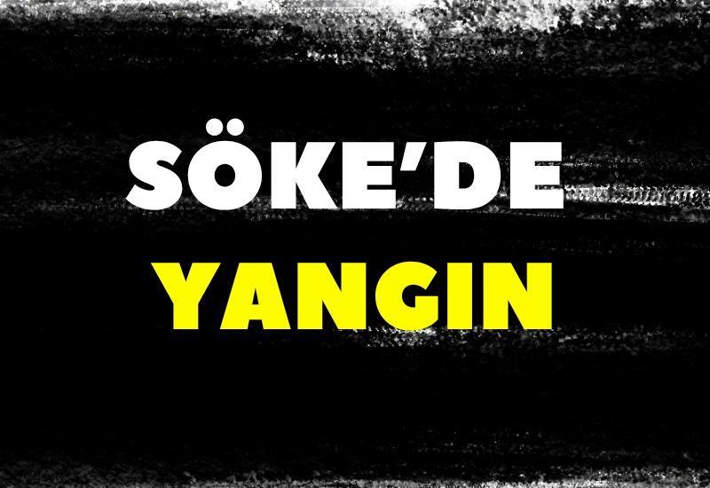 Söke'de yangın