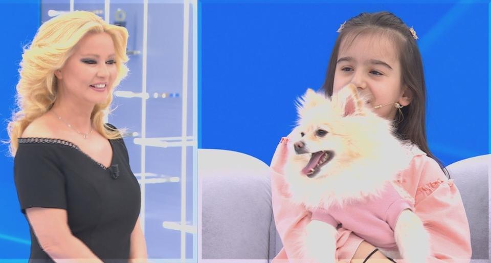 KAYIP KÖPEK MÜGE ANLI'DA BULUNDU