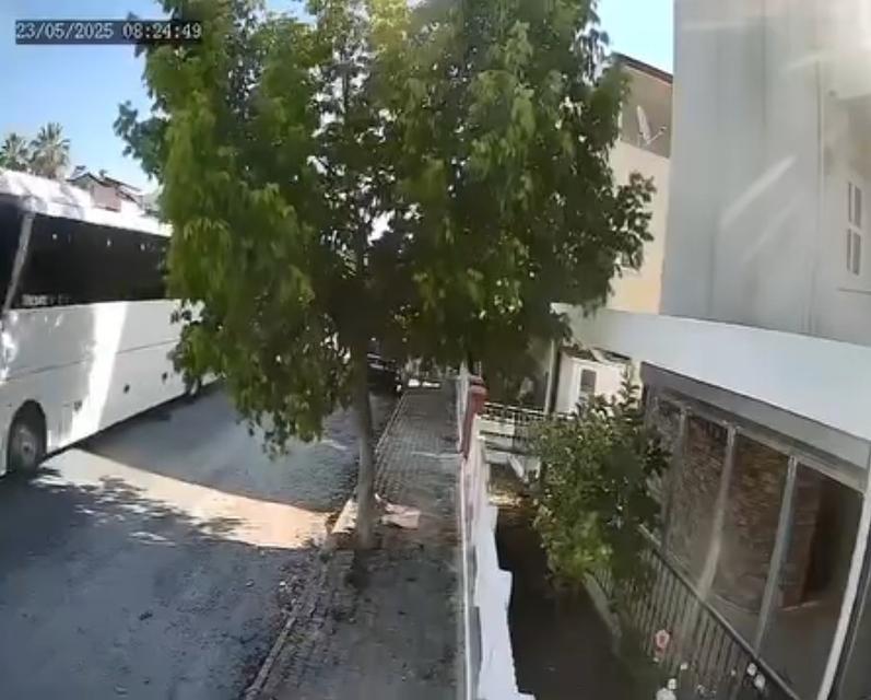 Otobüs şoförü sokak köpeğini ezdi
