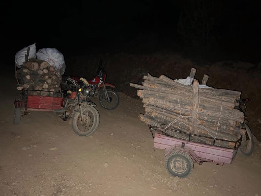 Ormanda usulsüz kesim yapan şahıslar yakalandı