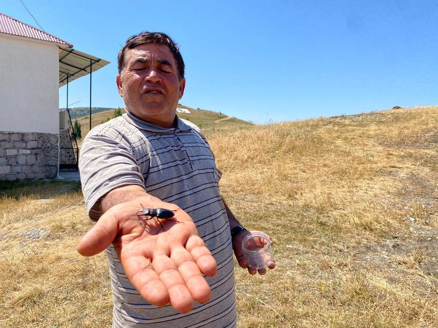 ÖLDÜRMENİN CEZASI 557 BİN TL, SİVAS'TA GÖRÜLDÜ