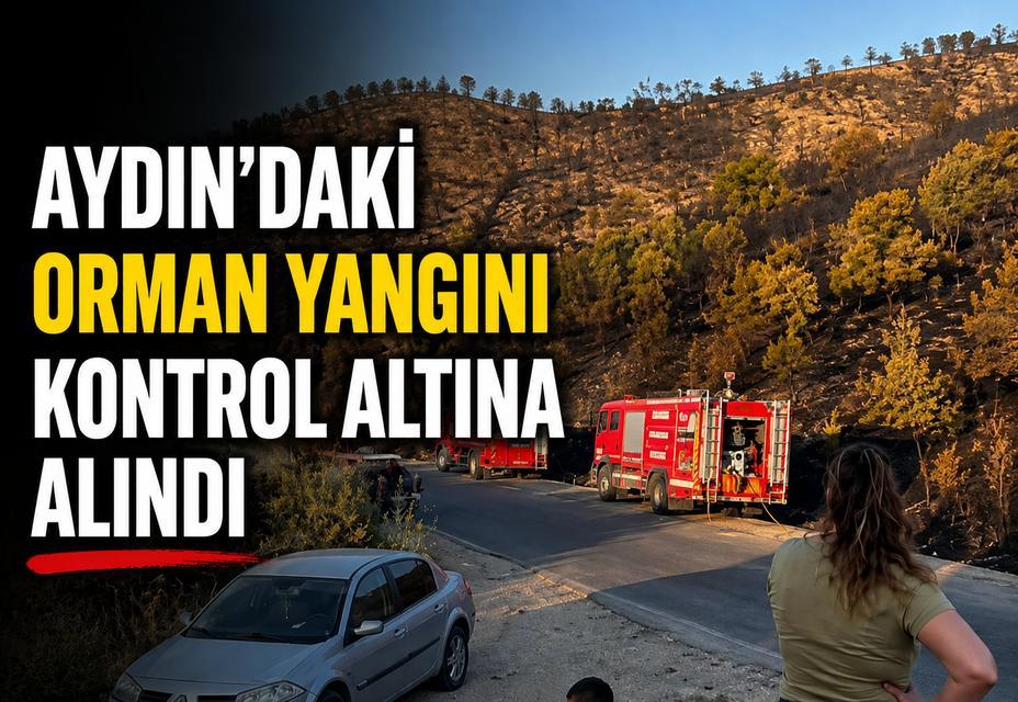 Aydın'daki orman yangını kontrol altına alındı