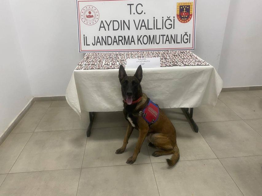 Aydın'da bin 383 adat uyuşturucu hap ele geçirildi