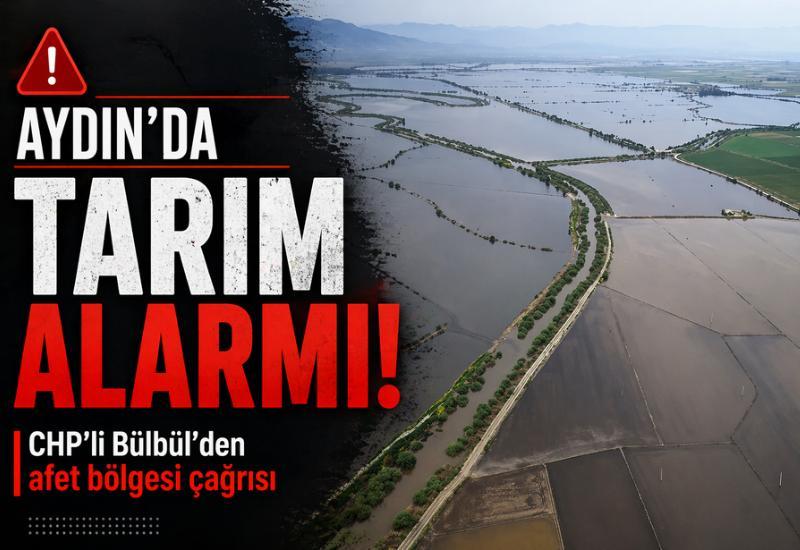 Aydın’da tarım alarmı! CHP’li Bülbül’den afet bölgesi çağrısı