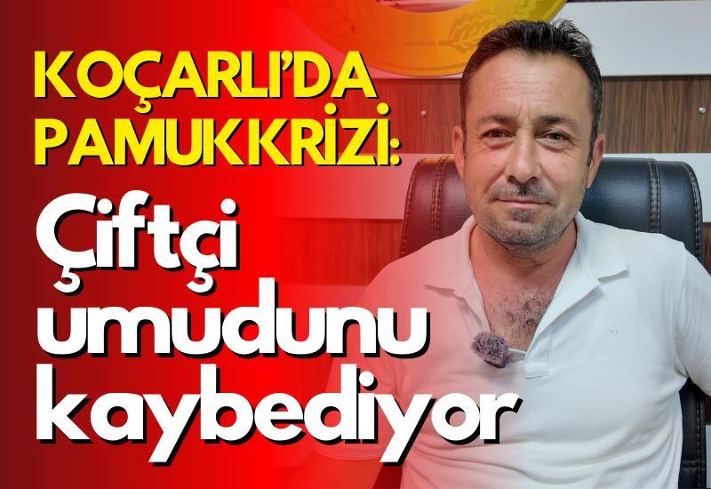 Koçarlı’da pamuk krizi: Çiftçi umudunu kaybediyor