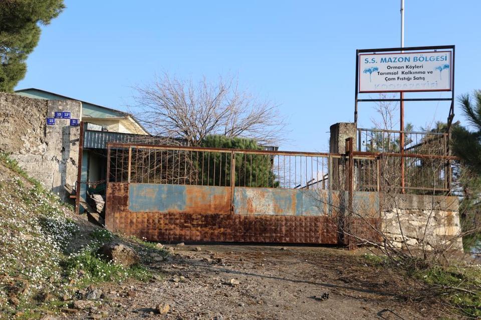 Aydın'da üreticilere umut olacaktı, şimdi çürümeye terk edildi