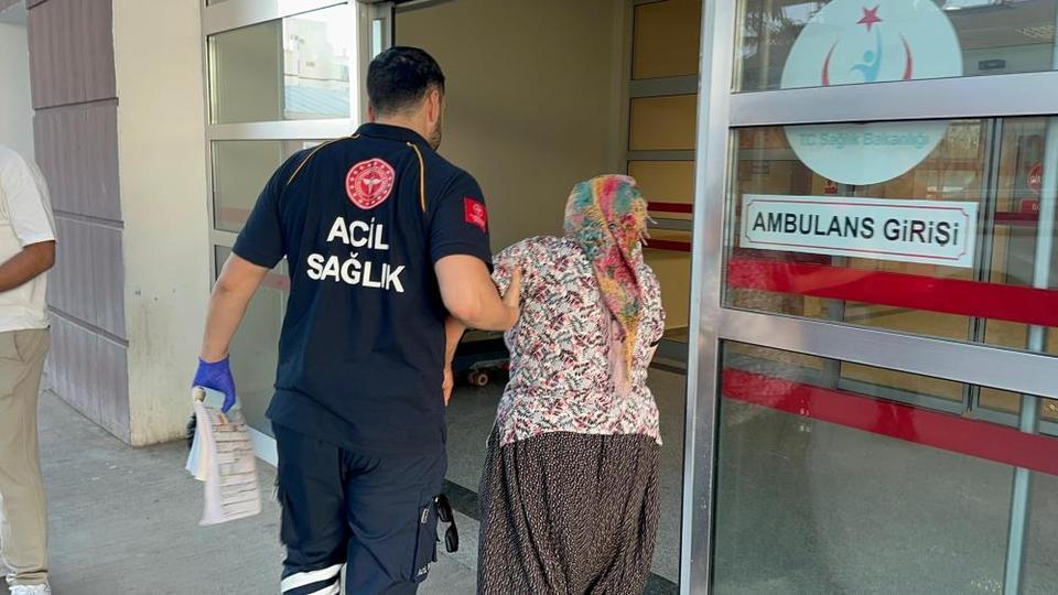 Yılanın ısırdığı kadın hastaneye kaldırıldı