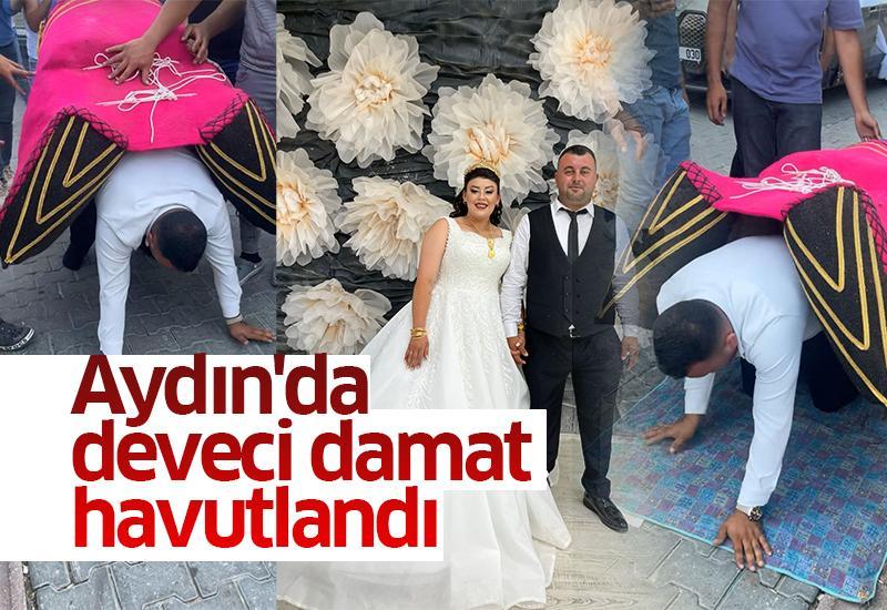Aydın'da deveci damat havutlandı