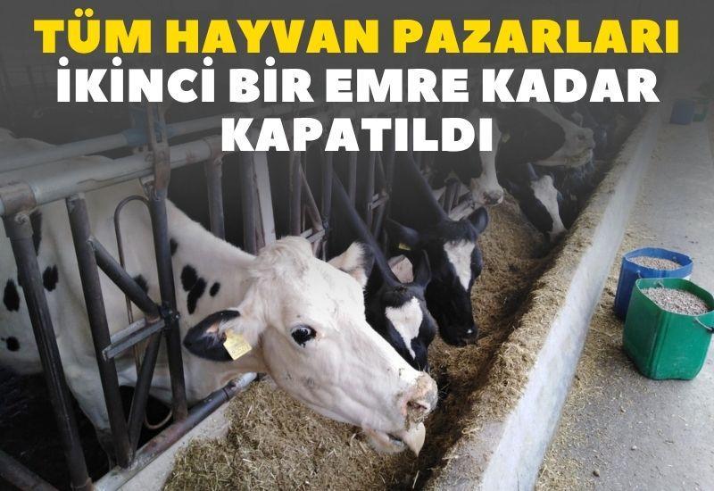Tüm hayvan pazarları ikinci bir emre kadar kapatıldı