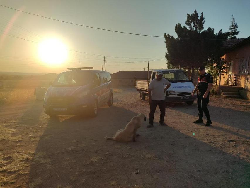 Başıboş köpek küçük çocuğu yaraladı