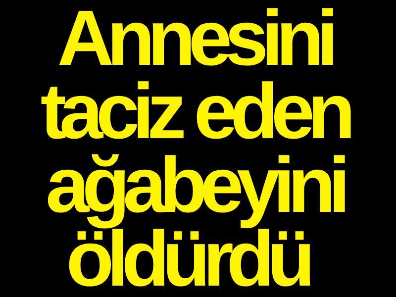 Annesini taciz eden ağabeyini öldürdü