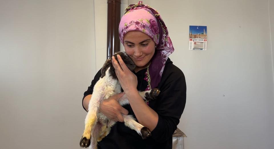 ANNESİZ KALAN KUZU AİLENİN 'UMUT'U OLDU ANNESİZ KUZUYU EV ORTAMINDA BEBEK ŞAMPUANIYLA YIKAYIP BİBERONLA BESLİYORLAR