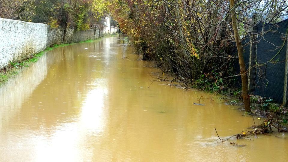 MUĞLA'DA YOĞUN YAĞIŞ SU BASKINLARINA SEBEP OLDU