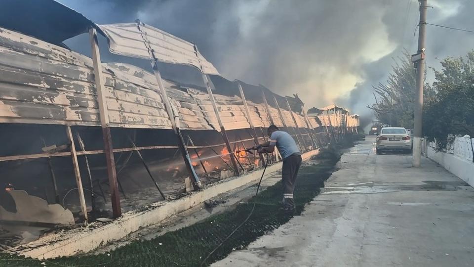 Aydın’daki yangın kontrol altına alındı