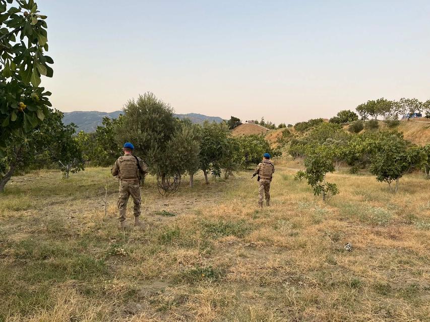 Aydın'da jandarma incir hırsızlığına karşı sahada