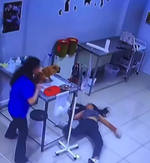 Veterinerde köpeğini tedavi ettiren kadın yere yığıldı