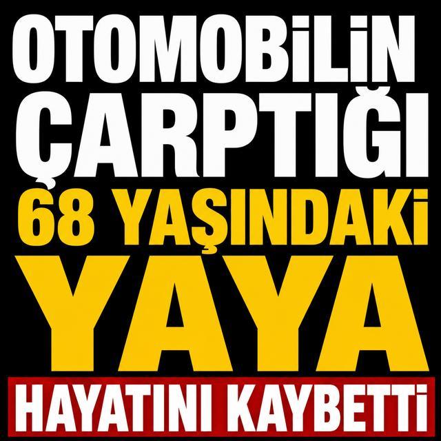 Otomobilin çarptığı yaya hayatını kaybetti