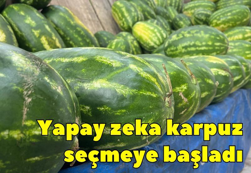 Yapay zeka karpuz seçmeye başladı