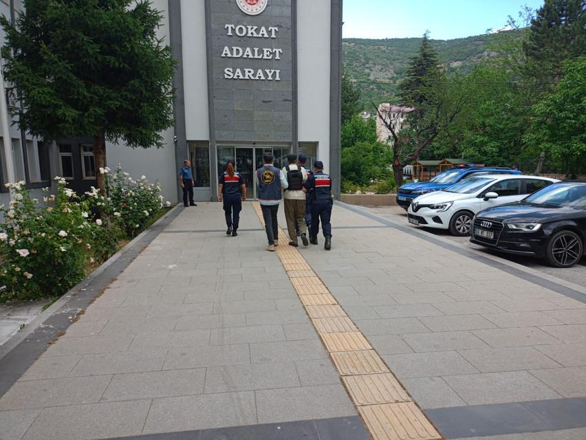 Miras kavgasında yengesini öldürdü
