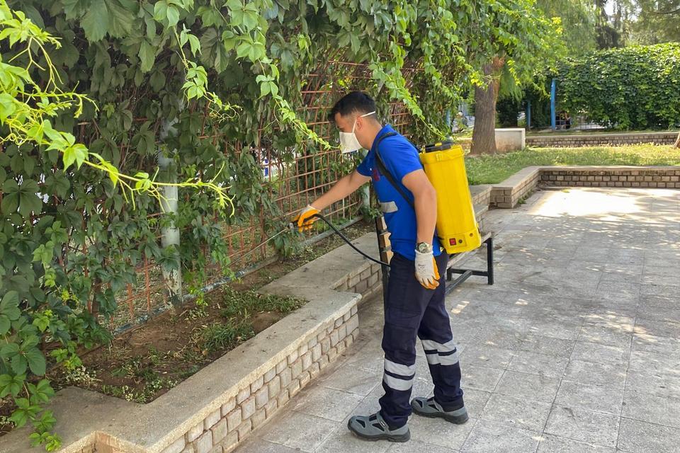 Efeler’de kene önlemi